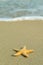 Starfish on perfect beach