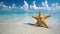 a starfish resting gracefully on the beach, with sand and sea water surrounding it, set against a backdrop of blue sky