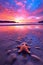 starfish resting on a sandy beach during a colorful sunset