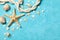 Starfish, rope and seashells on background, space for text
