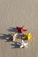 Starfish on sand