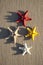 Starfish on sand