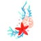 Starfish, sand dollar coral with pearl bouquet for decoration on summer Christmas holiday