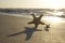 Starfish on sand sunrise background sea, horizon beach dawn wave