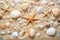 Starfish and Sea Shells on a Sandy Beach - Natural Beauty in Coastal Setting, Sandy beach with a collection of seashells and