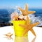 Starfish & Sea Shells In Yellow Beach Bucket