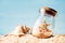 Starfish in a sealed glass jar, sea shell on the shore against the blue sky on a sunny day