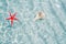 Starfish and seashell in clea white sand beach
