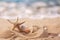 Starfish and seashell on sand for summer holidays and travel background