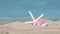 Starfish, seashell, scallop on sandy beach, turquoise waves of tropical island