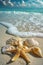Starfish & Seashells on Sunlit Beach