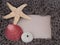 Starfish, shell, sea urchin on message board