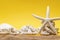 Starfish, shell, stones and rope on a plain yellow background and sand