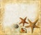 Starfish and Shells on a Grunge Background