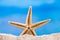 Starfish stands on sand on beach, behind sea. Vacation, beach, travel concept