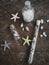 Starfish, stone, bottle glass, shell on wooden table