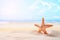 Starfish on summer sunny beach at ocean background. Travel, vac