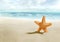 Starfish on sunny beach
