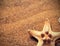 Starfish on textured beach sand