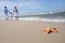 Starfish and tranquil family on the beach