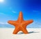 Starfish Tropical Beach Summer Vacation Concept
