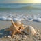 Starfish and Two Seashells Resting on Beach