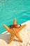 Starfish on Vacation by Pool