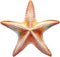 Starfish, a Watercolor painting of a starfish. AI-Generated.