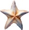 Starfish, a Watercolor painting of a starfish. AI-Generated.