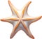 Starfish, a Watercolor painting of a starfish. AI-Generated.