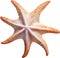 Starfish, a Watercolor painting of a starfish. AI-Generated.