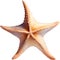 Starfish, a Watercolor painting of a starfish. AI-Generated.