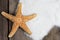 Starfish on Weathered Boards with Sand