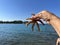 A starfish in a woman\'s hands. Marine animal, inhabitant of the Adriatic Sea. The girl holds a starfish with her fingers