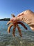 A starfish in a woman\'s hands. Marine animal, inhabitant of the Adriatic Sea. The girl holds a starfish with her fingers