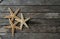 Starfish in wooden