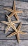 Starfish in wooden background