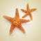 Starfishes on a beige background, with a retro effect