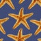 Starfishes on blue background