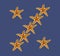 Starfishes on blue background