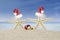 Starfishes with christmas hat and bells