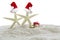 Starfishes with christmas hats on sand