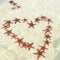 Starfishes on the Phu quoc island with heart shape , beautiful red starfish in crystal clear sea