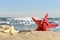 Starfishes on sandy beach