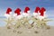 Starfishes with Santa hat and seashells on beach