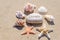 Starfishes and seashells with rock on the sand