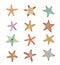 Starfishes set .hand drawn Vector Illustration