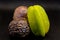 Starfruit and two maracujas  - Stilllife of  tropical fruits against a dark background