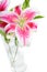 Stargazer Lilies in Vase