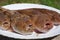 Stargazer raw sea fishes lined on the plate